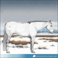 Horse Color:White Spotted Grullo Chinchilla Ice Appaloosa Rabicano
