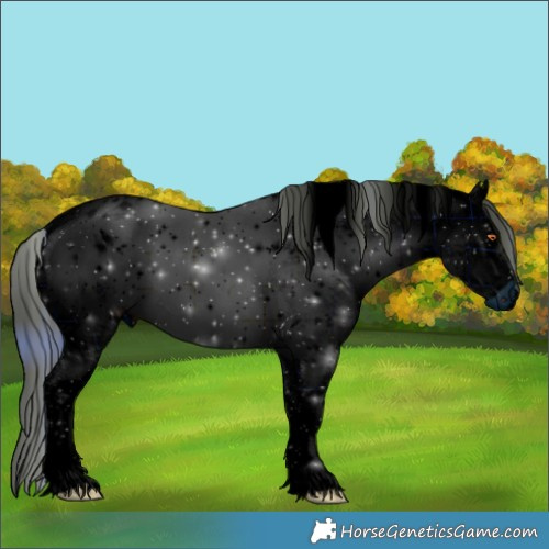 Horse Color:ERROR: UNKNOWN ANOMALY