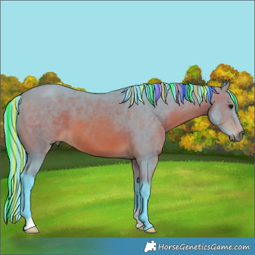 Horse Color:Painted Watercolor Bay 