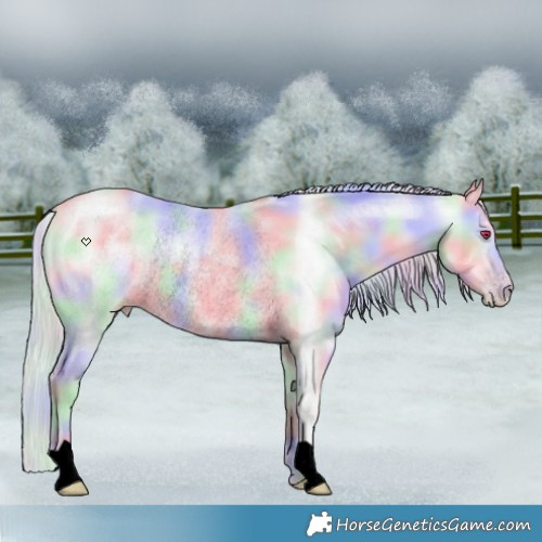 Horse Color:Void Nacre Silver Sable Champagne Chinchilla Rabicano