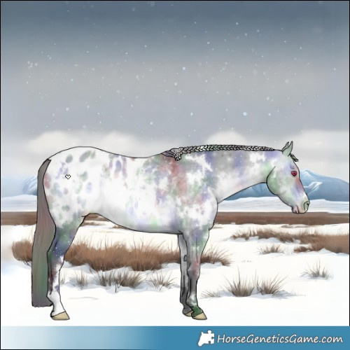 Horse Color:Nacre White Spotted Bay Chinchilla Appaloosa Rabicano 