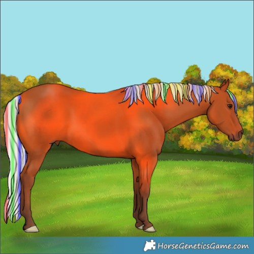 Horse Color:Painted Silver Bay