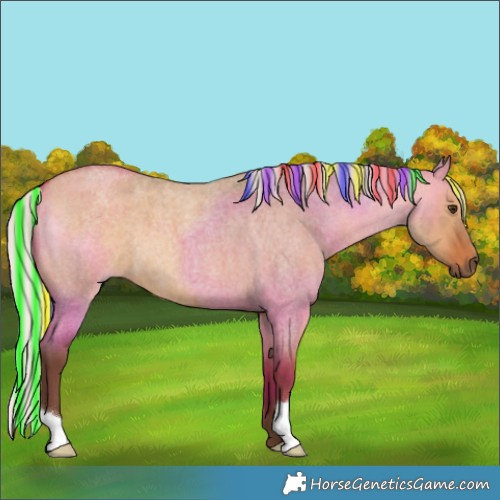 Horse Color:Painted Silver Bay Roan Dun 