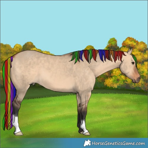 Horse Color:Painted Bay Dun 