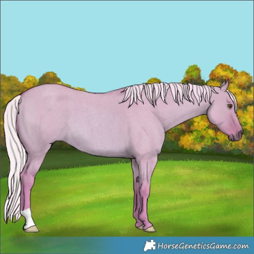 Horse Color:Watercolor Silver Bay Roan Dun