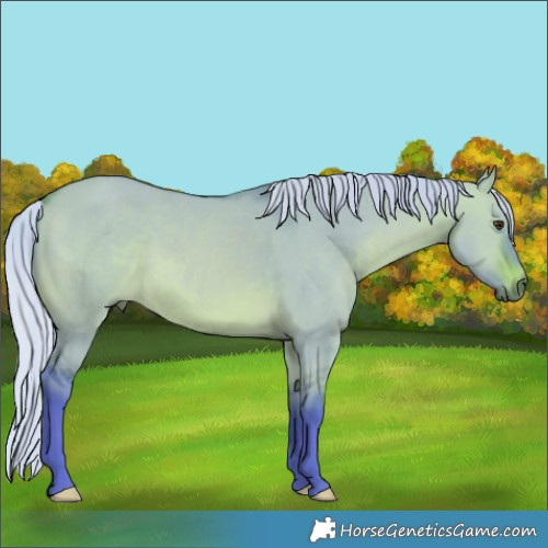 Horse Color:Watercolor Silver Brown Dun 