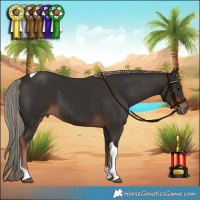 Horse Color:Liver Chestnut Tobiano