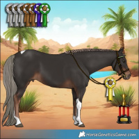Horse Color:Liver Chestnut Tobiano 
