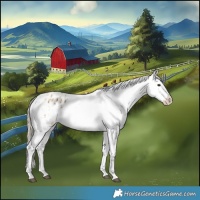 Horse Color:Chocolate Palomino Dun Appaloosa  and Chocolate Palomino Dun Appaloosa Rabicano 