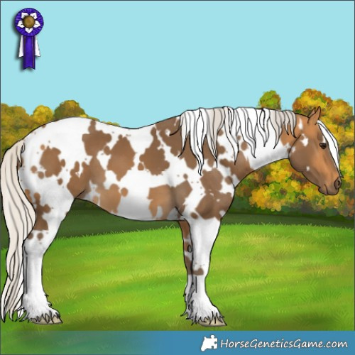 Horse Color:White Spotted Silver Buckskin 
