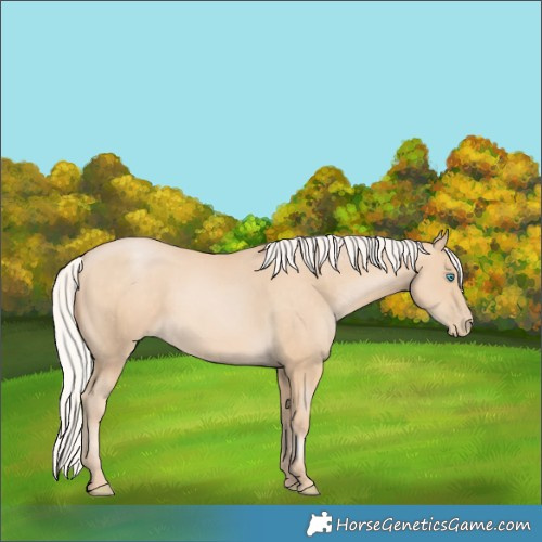 Horse Color:Silver Buckskin Pearl 