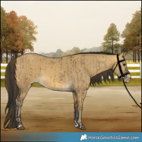 Horse Color:Buckskin Dun  and Sable Cream Champagne Dun 