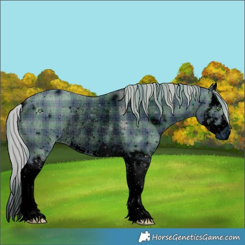 Horse Color:ERROR: UNKNOWN ANOMALY
