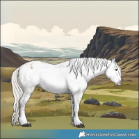 Horse Color:Chocolate Palomino Dun Appaloosa  and Gray Chocolate Palomino Dun Appaloosa 