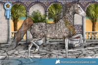 Horse Color:Liver Chestnut Splash Appaloosa Rabicano  and Liver Red Dun Splash Appaloosa Rabicano 