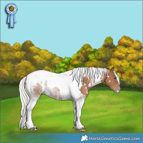 Horse Color:White Spotted Silver Black Pearl Tobiano 