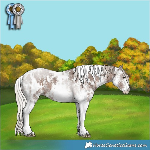 Horse Color:White Spotted Silver Black 