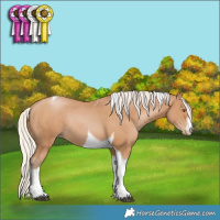 Horse Color:White Spotted Silver Black Pearl Tobiano Rabicano 