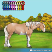 Horse Color:White Spotted Silver Black Pearl Tobiano Rabicano