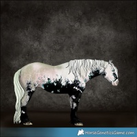 Horse Color:Watercolor White Spotted Silver Smoky Black Pearl Rabicano 
