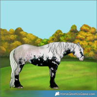 Horse Color:Watercolor White Spotted Silver Smoky Black Pearl Rabicano