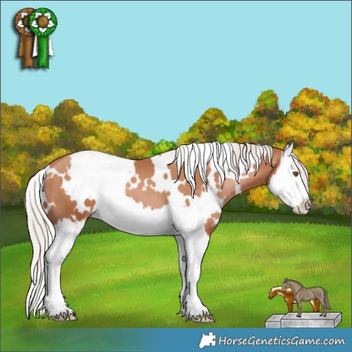 Horse Color:White Spotted Silver Black Pearl Splash 
