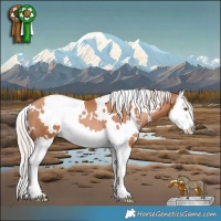 Horse Color:White Spotted Silver Black Pearl Splash 