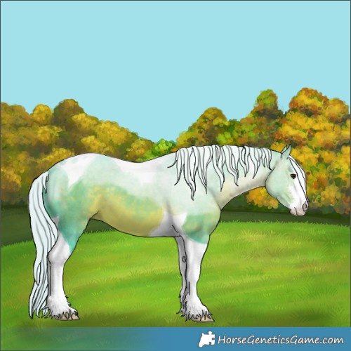 Horse Color:Watercolor White Spotted Silver Brown Tobiano 