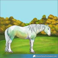 Horse Color:Watercolor White Spotted Silver Brown Tobiano