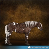 Horse Color:White Spotted Silver Black Ice
