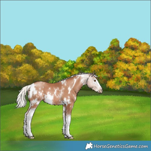Horse Color:White Spotted Silver Black Pearl 