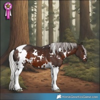 Horse Color:White Spotted Silver Brown Tobiano 