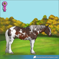 Horse Color:White Spotted Silver Brown Tobiano 