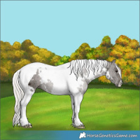 Horse Color:White Spotted Silver Black Ice Tobiano