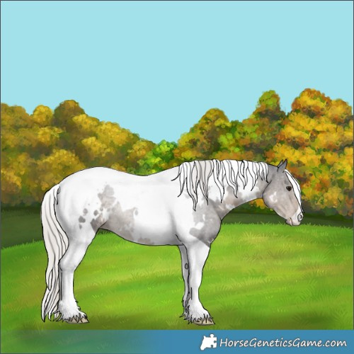 Horse Color:White Spotted Silver Smoky Black Tobiano 
