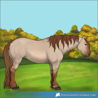 Horse Color:Red Dun 