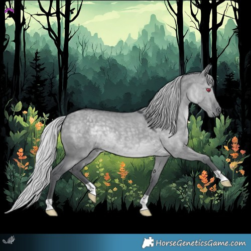 Horse Color:Silver Grullo Chinchilla
