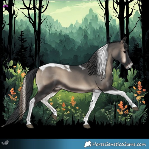 Horse Color:Blue Onyx Tobiano 