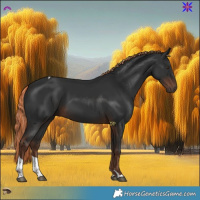 Horse Color:Liver Chestnut Tobiano 