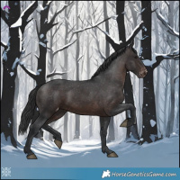 Horse Color:Brown Varnish 