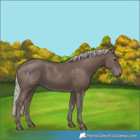 Horse Color:Silver Black 