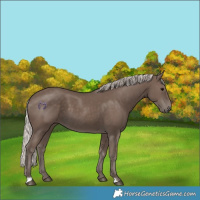 Horse Color:Silver Black 