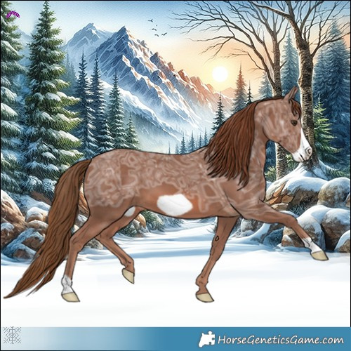 Horse Color:Chestnut Ice Frame 