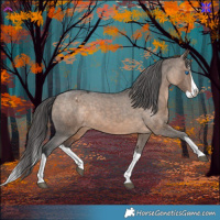 Horse Color:Brown Dun Splash Varnish 