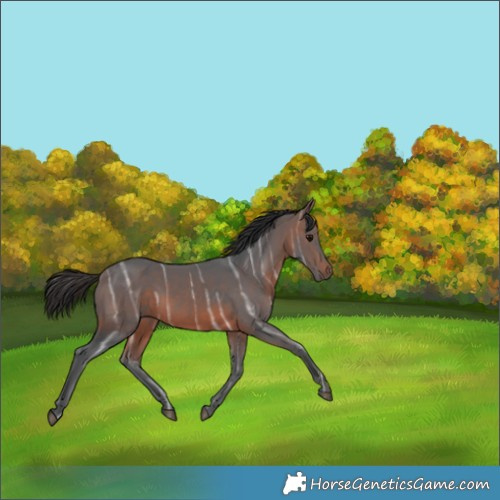 Horse Color:Brown Ice 