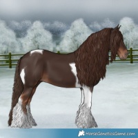 Horse Color:Liver Chestnut Tobiano 