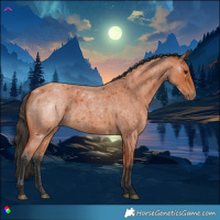 Horse Color:Bay Roan 