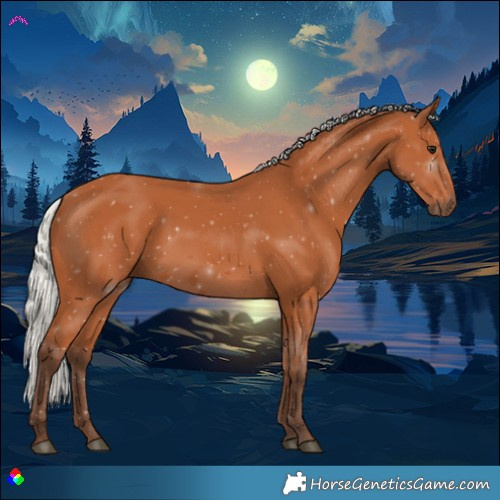 Horse Color:Silver Bay 