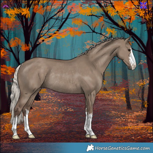 Horse Color:White Spotted Silver Grullo Rabicano 