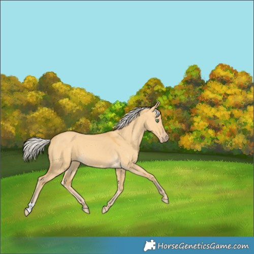 Horse Color:Silver Amber Cream Champagne Dun 